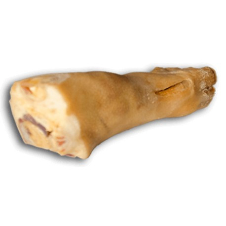 Lábszárcsont , Alpha Spirit