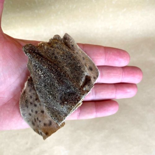 Cápa falatok - fogtisztító rágcsa , szárított , 100g , Barf Love