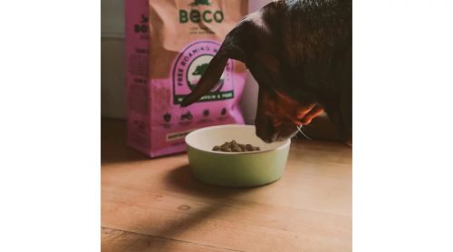 Bambusz tál - zöld , L , Beco Pets
