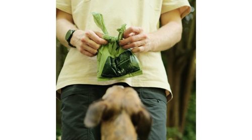 Környezetbarát füles kakizacsi - illatmentes , 120db , Beco Pets
