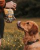 Vegán jutalomfalat - Földimogyoró kókusszal és kurkumával , Beco Pets