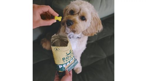 Vegán jutalomfalat - Földimogyoró kókusszal és kurkumával , Beco Pets