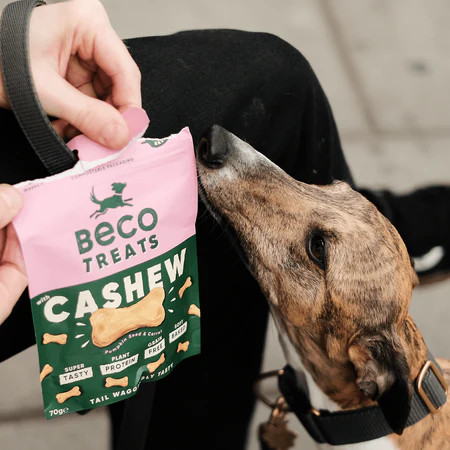 Vegán jutalomfalat - Kesudió tökmaggal és sárgarépával , Beco Pets
