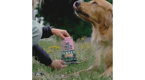 Vegán jutalomfalat - Kesudió tökmaggal és sárgarépával , Beco Pets