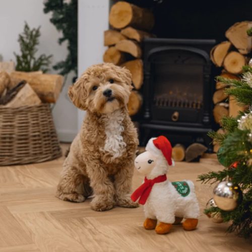 Karácsonyi láma plüss játék , Beeztees