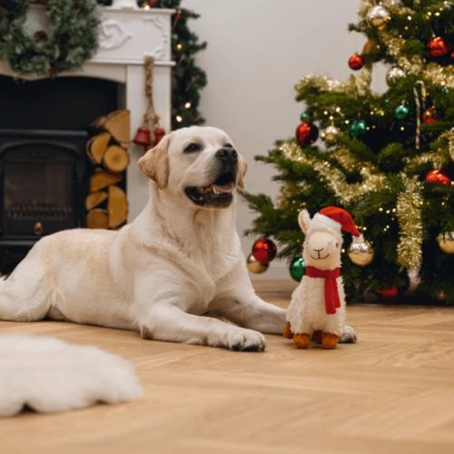 Karácsonyi láma plüss játék , Beeztees