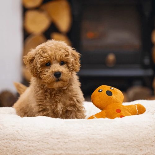 Karácsonyi mézeskalács plüss játék , Beeztees