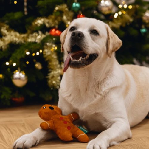 Karácsonyi mézeskalács plüss játék , Beeztees