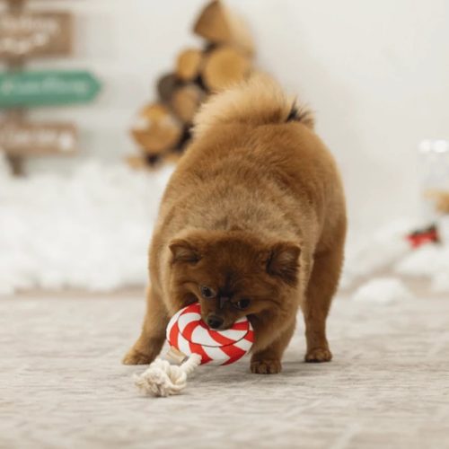 Karácsonyi nyalóka kötéljáték , Beeztees