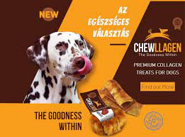 Kollagén rágórúd - 2db , Chewllagen