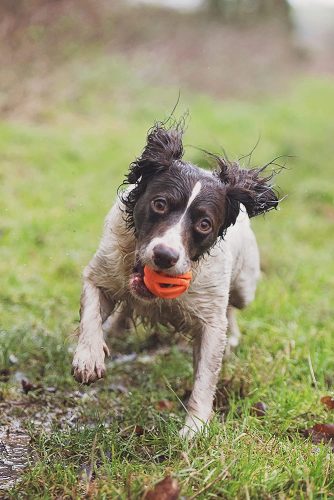 Chuckit Breathe Right Ball 2db , S , LÉLEGZŐ labda