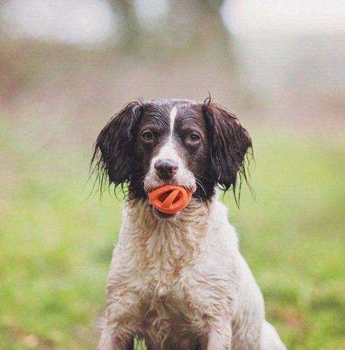 Chuckit Breathe Right Ball 2db , S , LÉLEGZŐ labda