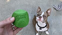 Chuckit Erratic Ball , L , tévelygő labda