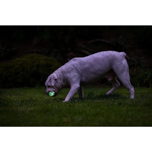 Chuckit Max Glow Air Fetch ball 2db , M , LÉLEGZŐ és VILÁGÍTÓS labda
