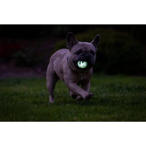 Chuckit Max Glow Air Fetch ball 2db , S , LÉLEGZŐ és VILÁGÍTÓS labda