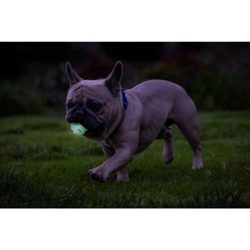 Chuckit Max Glow Air Fetch ball 2db , S , LÉLEGZŐ és VILÁGÍTÓS labda