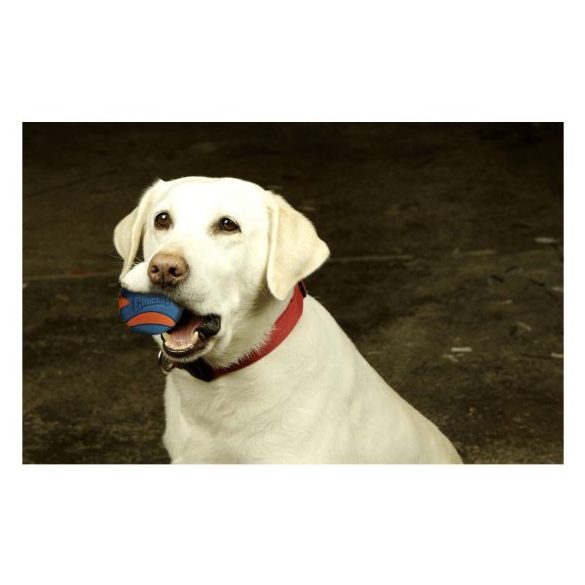 Chuckit Ultra Squeaker Ball , S , CSIPOGÓS