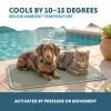 Hűtőmatrac kutyáknak és macskáknak , M , Zöld , Coolpets