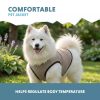 Hűtőmellény kutyáknak , L , Coolpets