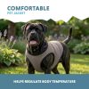 Hűtőmellény kutyáknak , XL , Coolpets