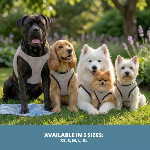Hűtőmellény kutyáknak , XS , Coolpets