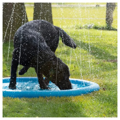 Medence szökőkúttal , 100cm , CoolPets