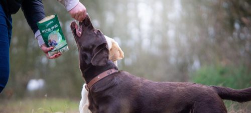 Pisztráng és rovarfehérje jutalomfalat - puha , 125g , Cristopherus soft-im-biss