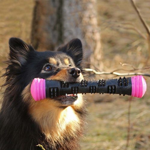 Meteor Stick - dobóbot , pink , S , Dog Comets