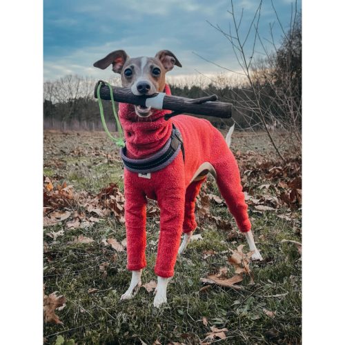 DOOG Stick Mummy - játékbot kutyáknak , DOOG