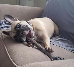 DOOG Sticklaus - játékbot kutyáknak , DOOG