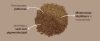 Bio Barna alga 500g , Fanni's 