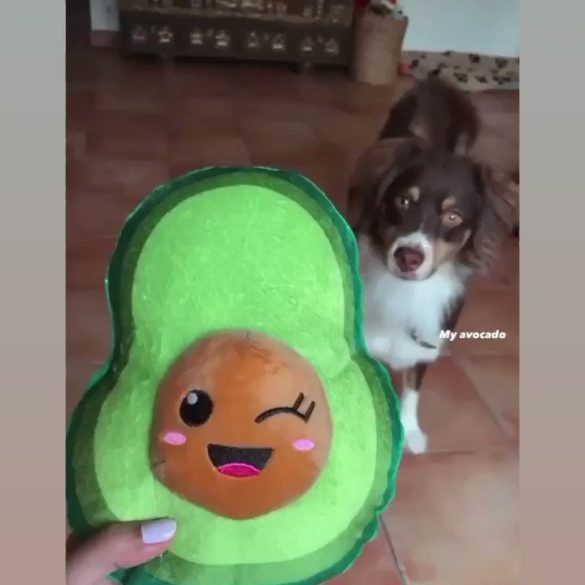 Avocado plüss játék , FuzzYard