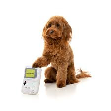 Game Dog plüss játék , FuzzYard