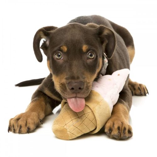 Fagyi plüss játék , FuzzYard