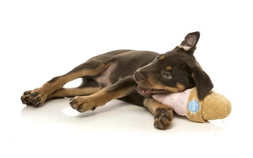 Fagyi plüss játék , FuzzYard