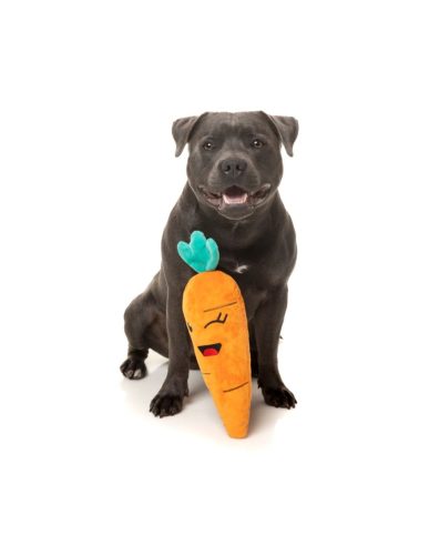 Répa plüss játék , FuzzYard