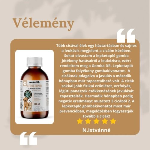 LEPKETAPLÓ folyékony gombakivonat , 50ml , Gomba dr
