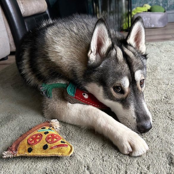 PEPE a pizza - öko kutyajáték , Green & Wild
