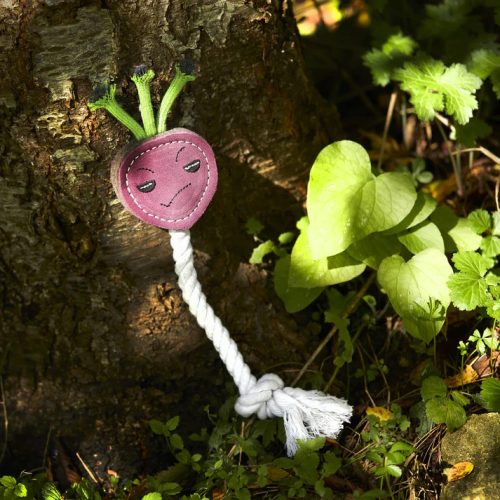 Ruby a retek - öko kutyajáték , Green & Wild