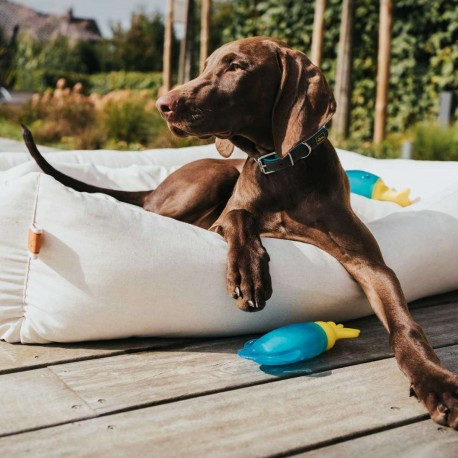 Hűsítő vízi játék DELFIN Aqua Alaska , Hunter