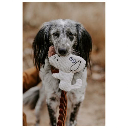 Barry Plüss EGÉR , Hunter