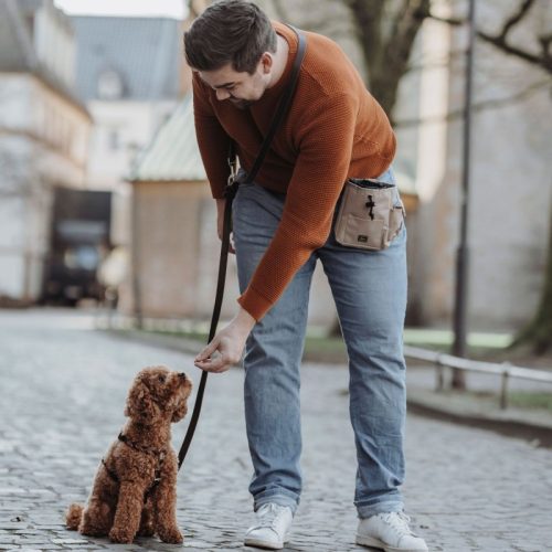 Jutalomfalat tartó TYRA - BÉZS , Hunter