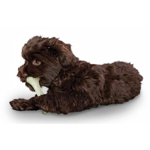 Aqua Kisa - fluoreszkáló csont , Hunter