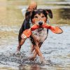 Aqua Mindelo vizi játék sípolós NARANCS , Hunter