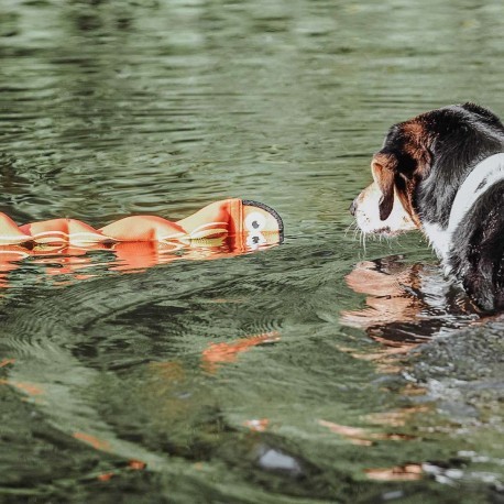 Aqua Mindelo vizi játék sípolós NARANCS , Hunter