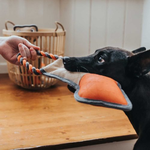 Pombas FÓKA kutyajáték , Hunter