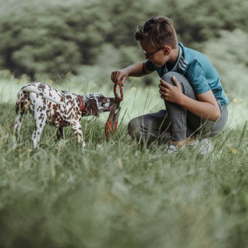 Pombas FÓKA kutyajáték , Hunter