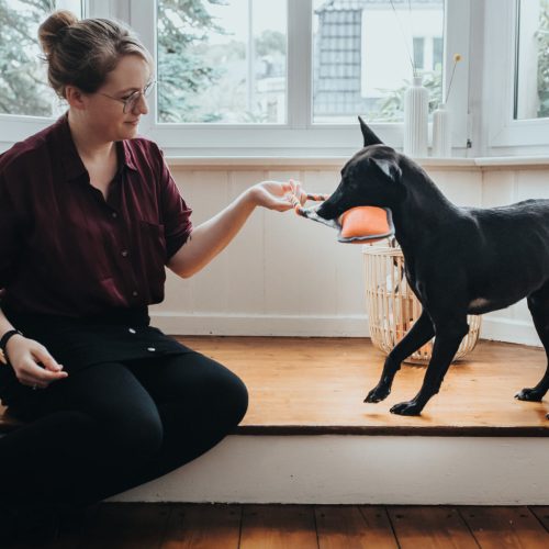 Pombas NYÍL kutyajáték , Hunter