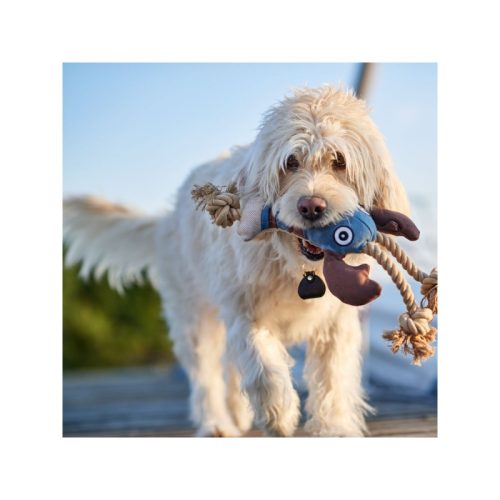 Canvas RÁK - köteles játék , Hunter