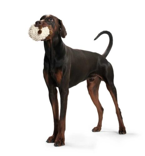 Snugly BÁRÁNY - plüss játék kutyáknak , Hunter